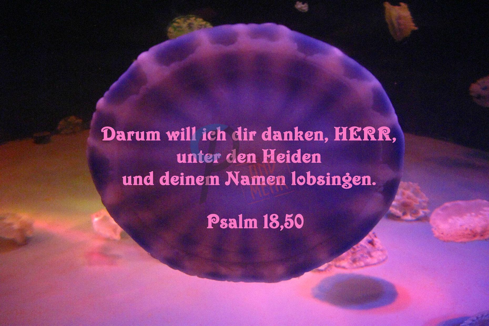 Psalm 18 50 Darum Will Ich Dir Danken HERR Unter Den Heiden 