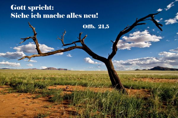 835 - Offb. 21,5 - JL26 - Savanne