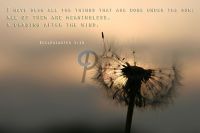 12.1-Ecclesiastes 1:14