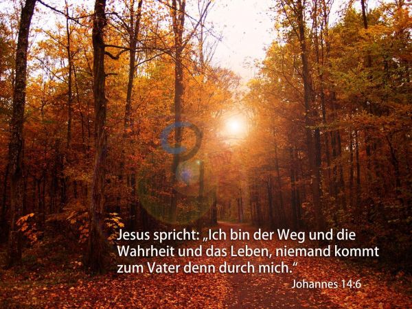 25-Johannes 14:6