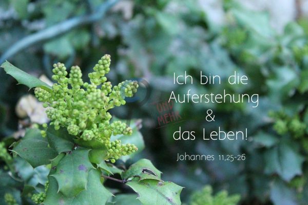 690 - Johannes 11,25-26
