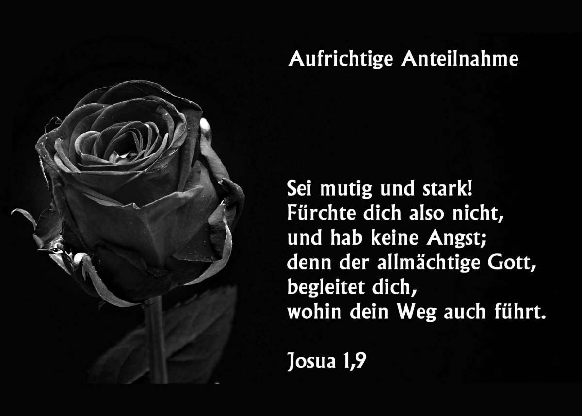 Trauerkarte Aufrichtige Anteilnahme | Christliche Poster