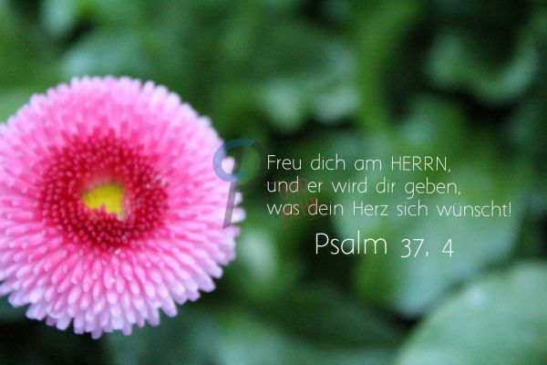 692 - Psalm 37,4