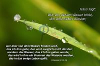 100-Johannes 4 13-14