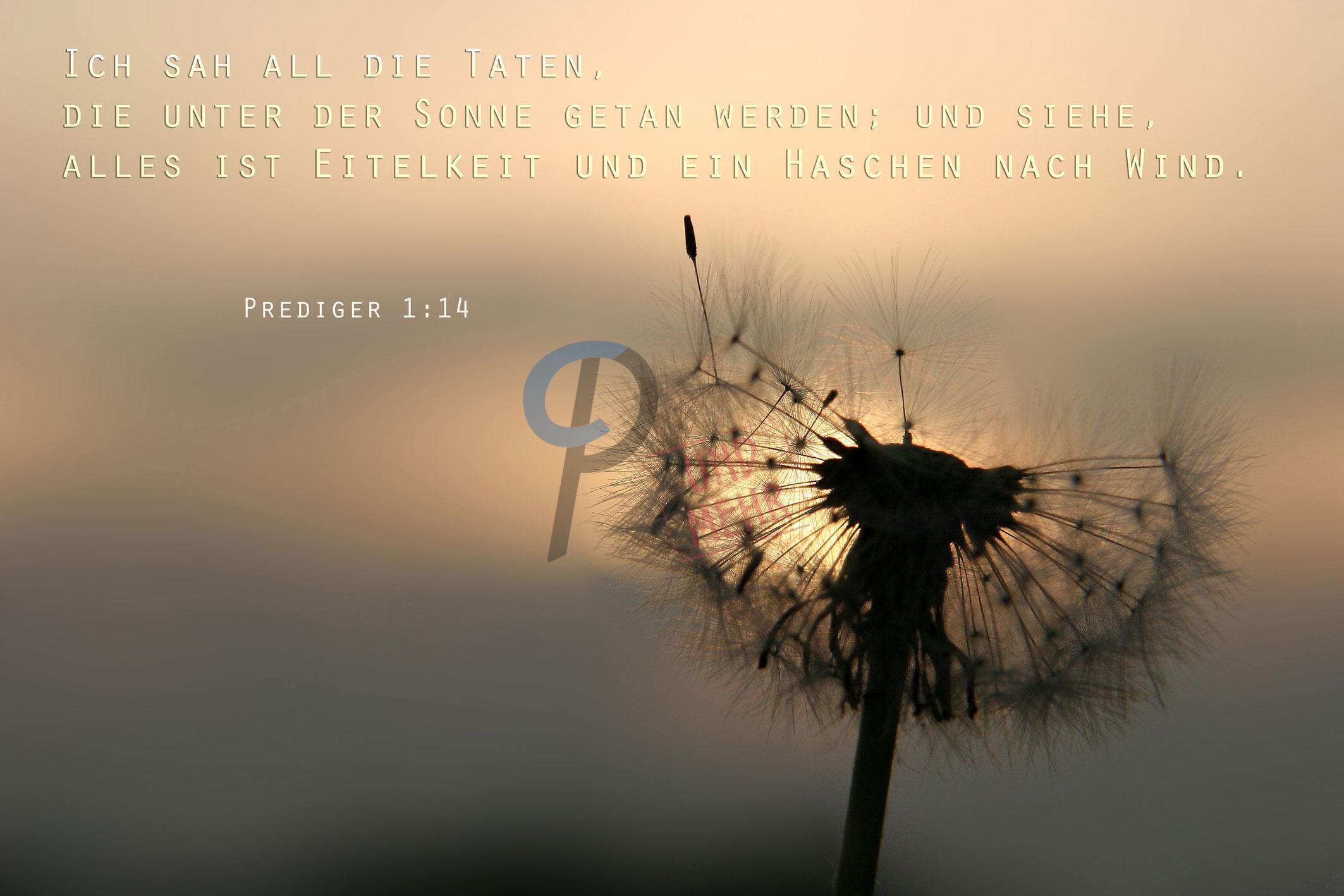 Prediger 3 12-Prediger 1:14 | Christliche Poster