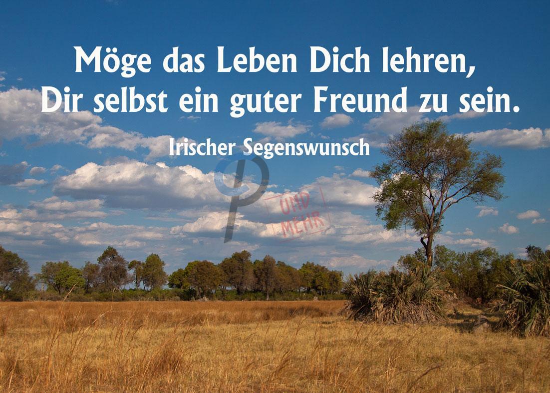 M ge Das Leben Dich Lehren Dir Selbst Ein Guter Freund Zu Sein m-ge-das-leben-dich-lehren-dir-selbst-ein-guter-freund-zu-sein