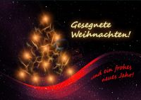 113-Weihnachtskarten im Set