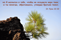 10 R - От Луки 22:32